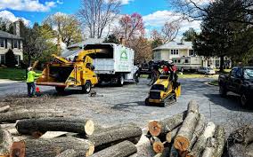 Best Lawn Grading and Leveling  in Farmer City, IL